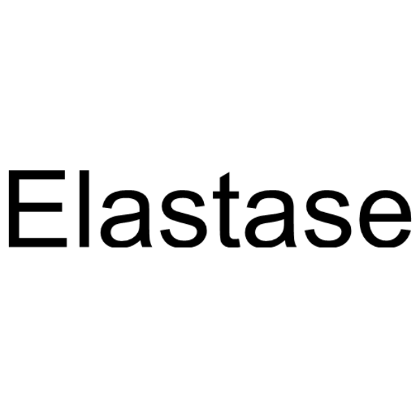Elastase 9004-06-2